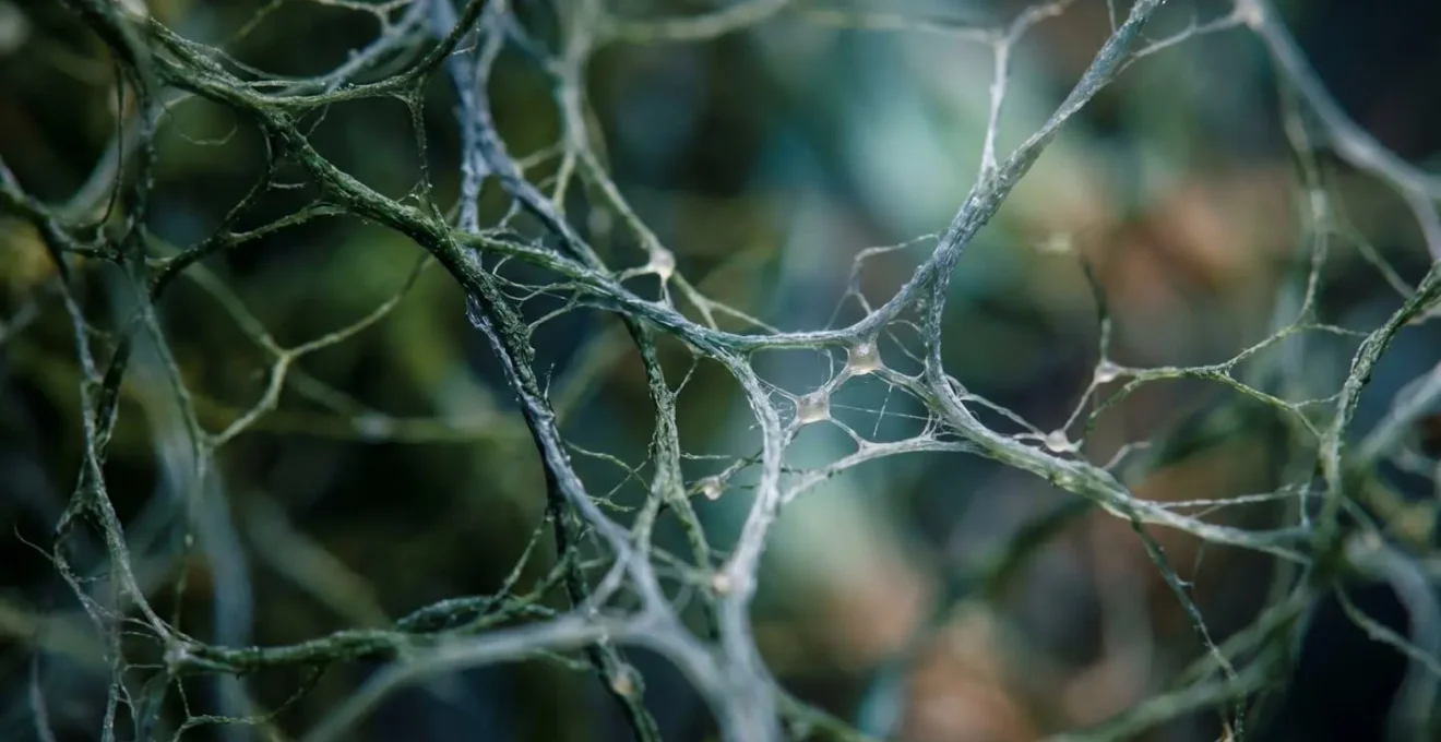 Gros plan macro sur des fibres nerveuses organiques évoquant les connexions neuronales, profondeur de champ extrême